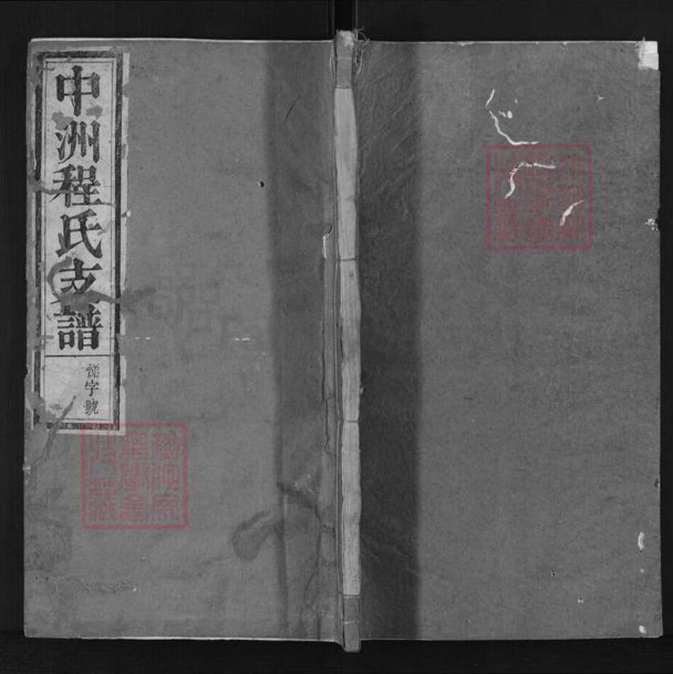 浙江省杭州市淳安县县中洲镇程氏族谱-中洲程氏支谱.pdf电子版缩略图