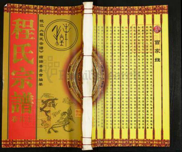 安徽省安庆市程氏四箴堂族谱-程氏宗谱.pdf电子版缩略图