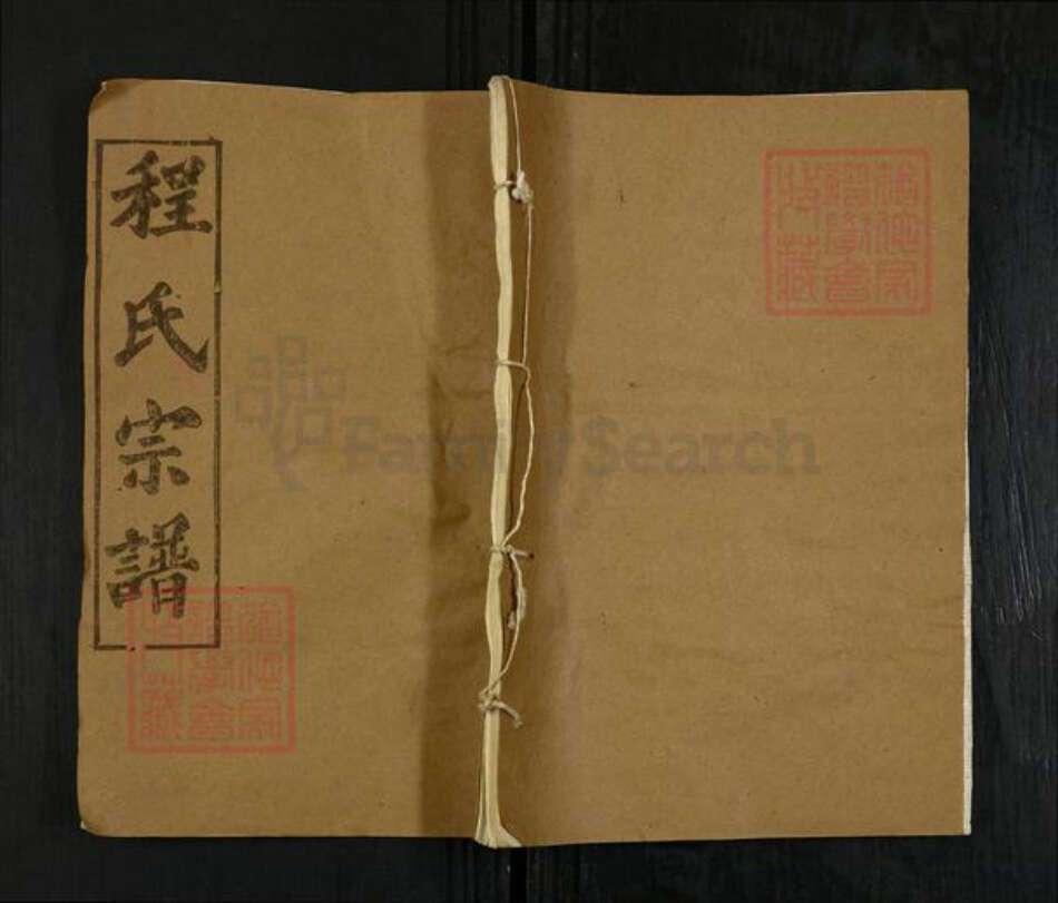 湖北省武汉市新洲区程氏四箴堂族谱-程氏宗谱.pdf电子版缩略图