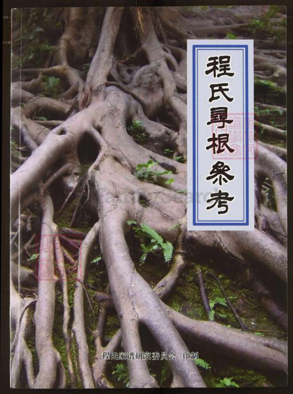 河南省洛阳市新安县程氏延庆堂族谱-程氏寻根参考.pdf电子版缩略图