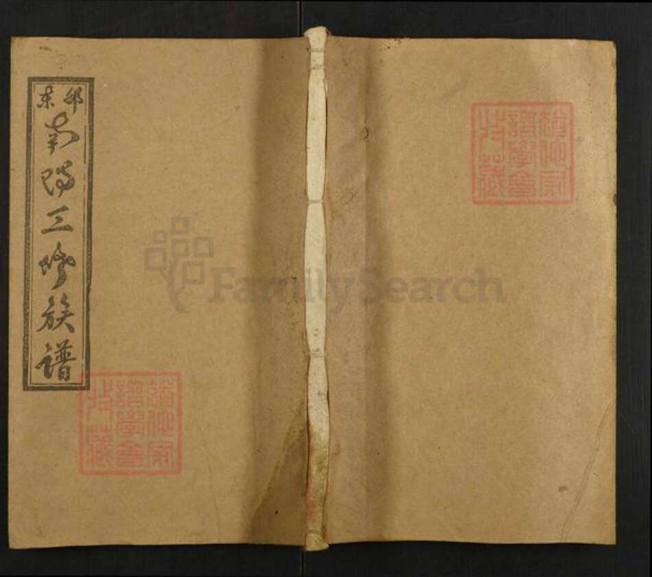 湖南省邵阳市邵东仇氏栖凤堂族谱-邵东仇氏三修族谱.pdf电子版缩略图