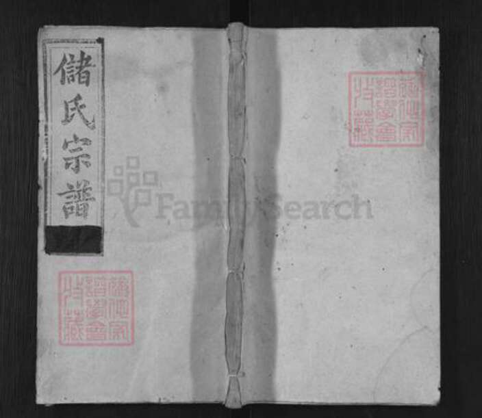 安徽省安庆市潜山市槎水镇储氏元善堂族谱-储氏族谱.pdf电子版缩略图