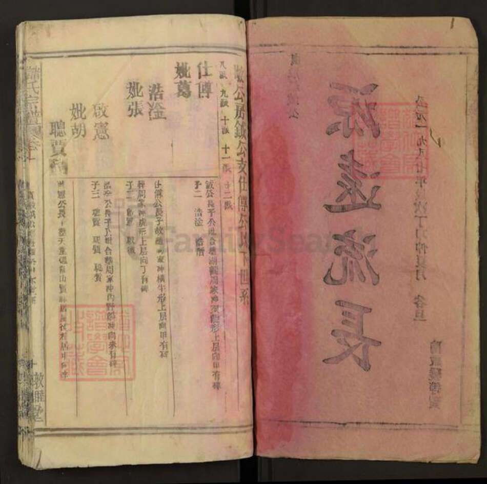 安徽省安庆市潜山市槎水镇储氏四德堂族谱-储氏宗谱.pdf电子版预览图2