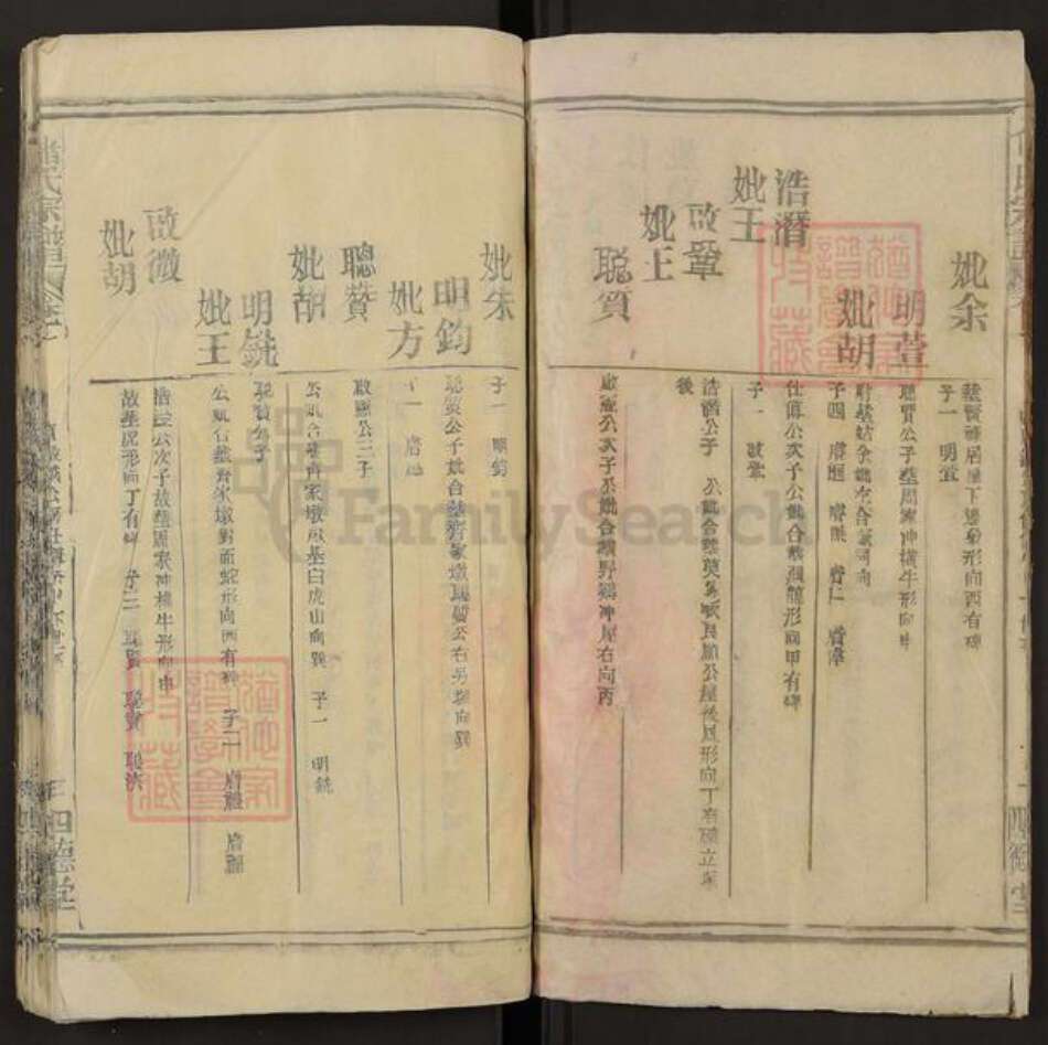 安徽省安庆市潜山市槎水镇储氏四德堂族谱-储氏宗谱.pdf电子版预览图3