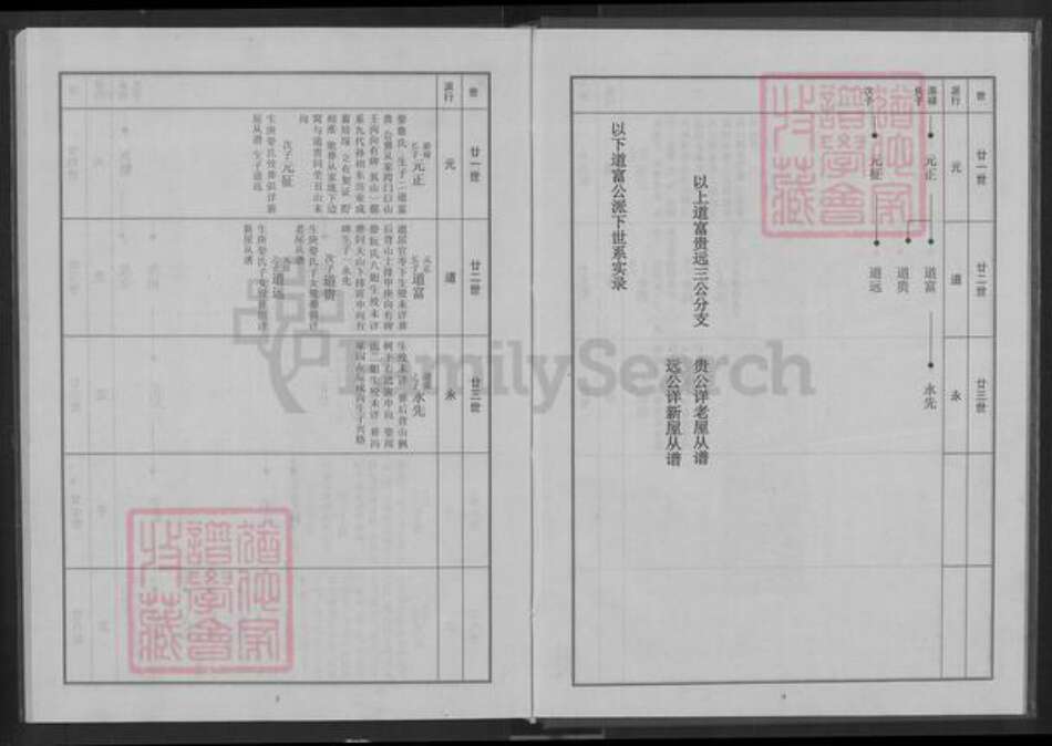 安徽省池州市青阳县乔木乡从氏清廉堂族谱-从氏宗谱.pdf电子版预览图4