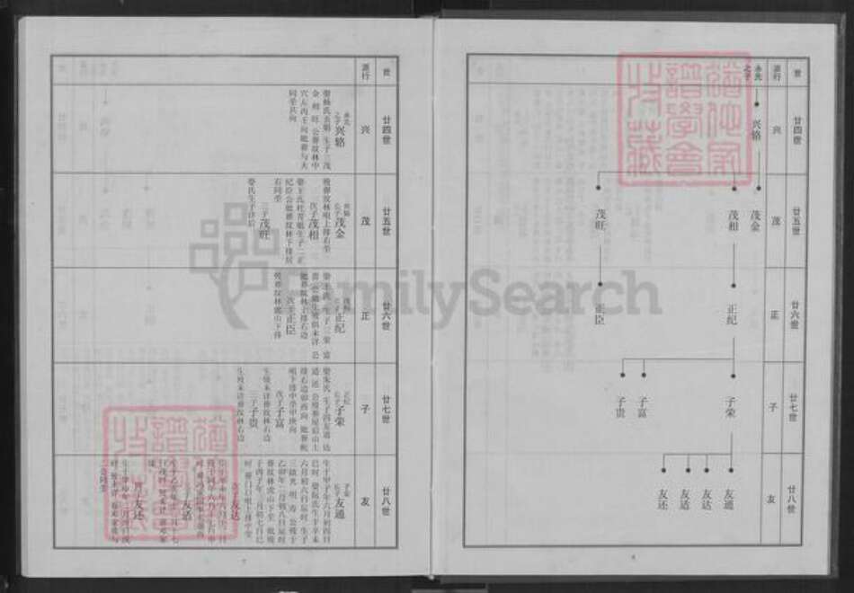 安徽省池州市青阳县乔木乡从氏清廉堂族谱-从氏宗谱.pdf电子版预览图5