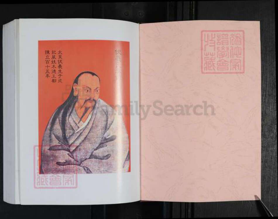 河南省周口市项城市新桥镇崔氏尚义堂族谱-项城崔氏族谱.pdf电子版预览图1