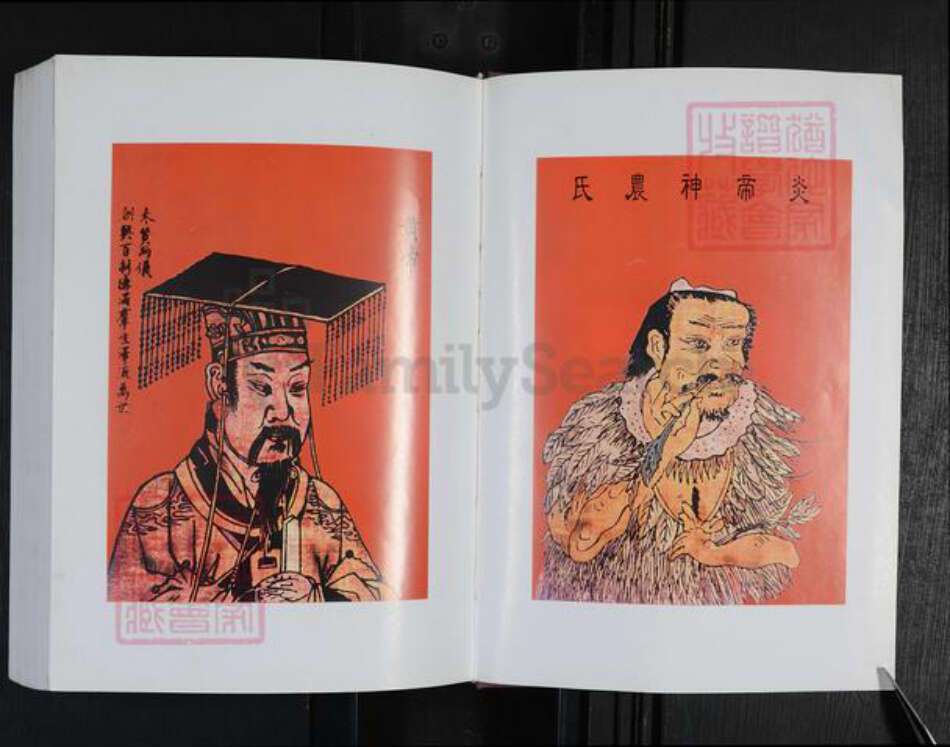 河南省周口市项城市新桥镇崔氏尚义堂族谱-项城崔氏族谱.pdf电子版预览图2