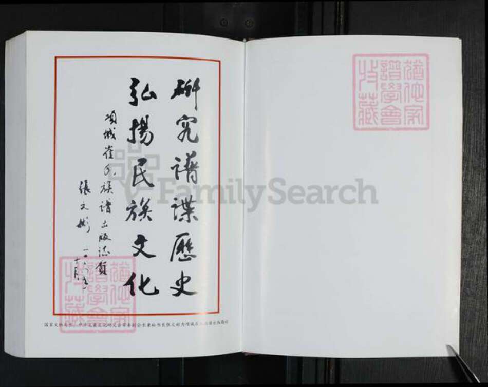 河南省周口市项城市新桥镇崔氏尚义堂族谱-项城崔氏族谱.pdf电子版预览图4