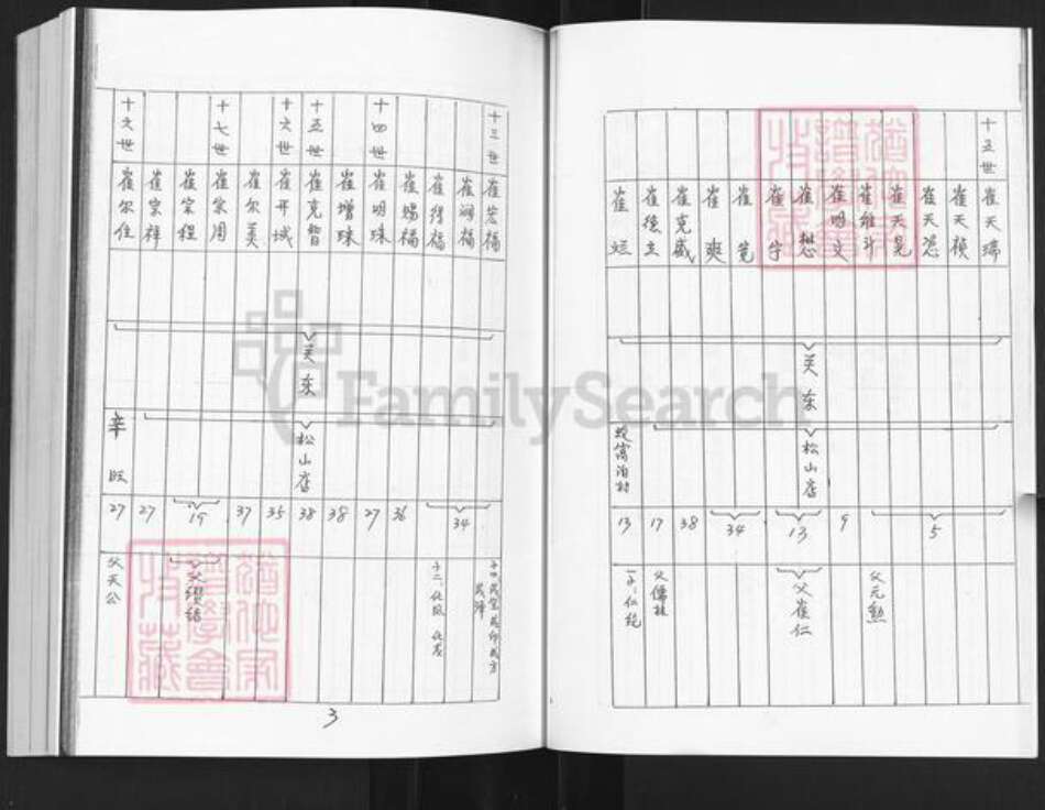 山东省烟台市栖霞市松山街道崔氏族谱-山东栖霞崔氏家谱总图.pdf电子版预览图3