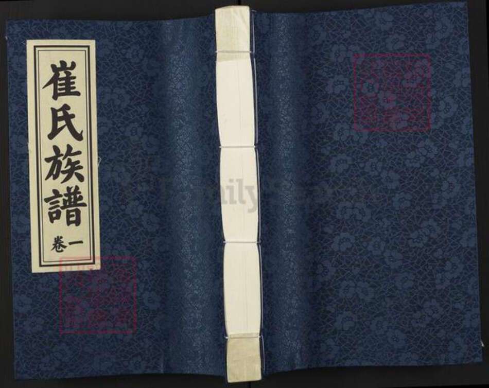 江苏省徐州市沛县崔氏三㦸堂族谱-崔氏族谱.pdf电子版缩略图