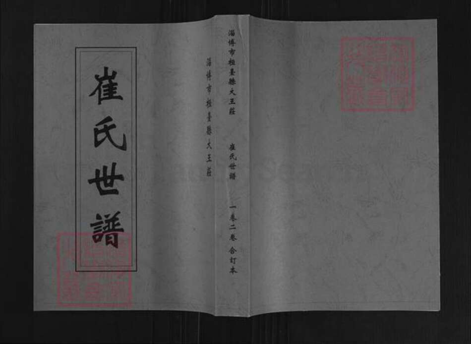 山东省淄博市桓台县唐山镇崔氏族谱-崔氏世谱.pdf电子版缩略图