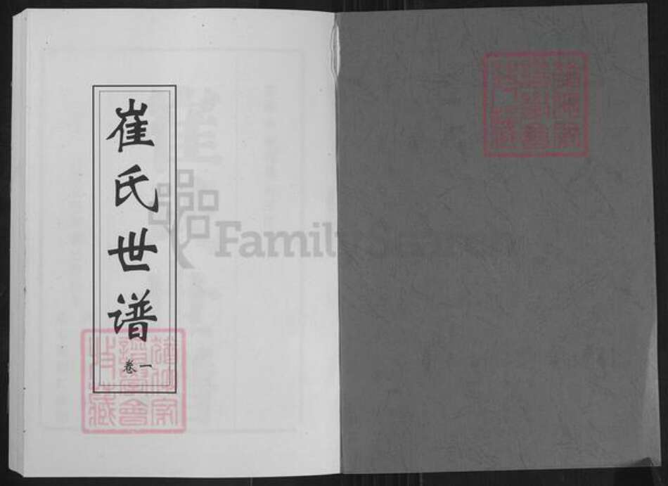 山东省淄博市桓台县唐山镇崔氏族谱-崔氏世谱.pdf电子版预览图1