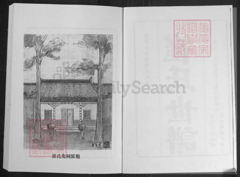 山东省淄博市桓台县唐山镇崔氏族谱-崔氏世谱.pdf电子版预览图3