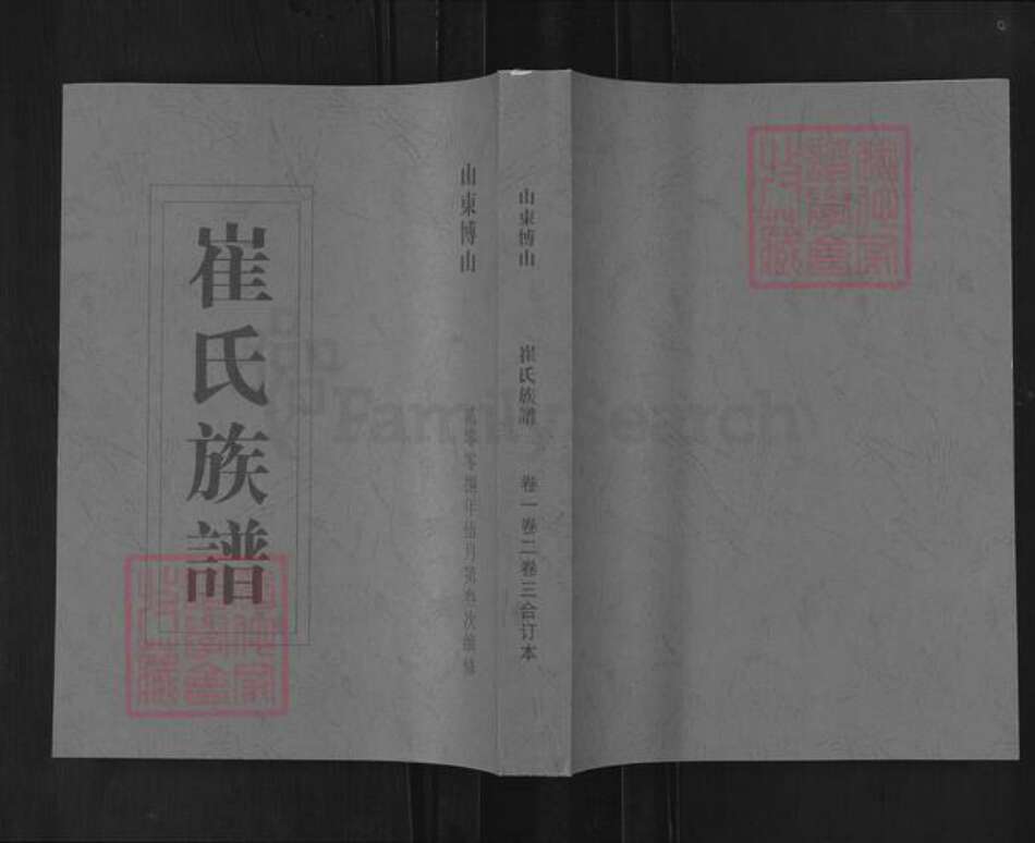 山东省淄博市博山区崔氏族谱-崔氏族谱.pdf电子版缩略图