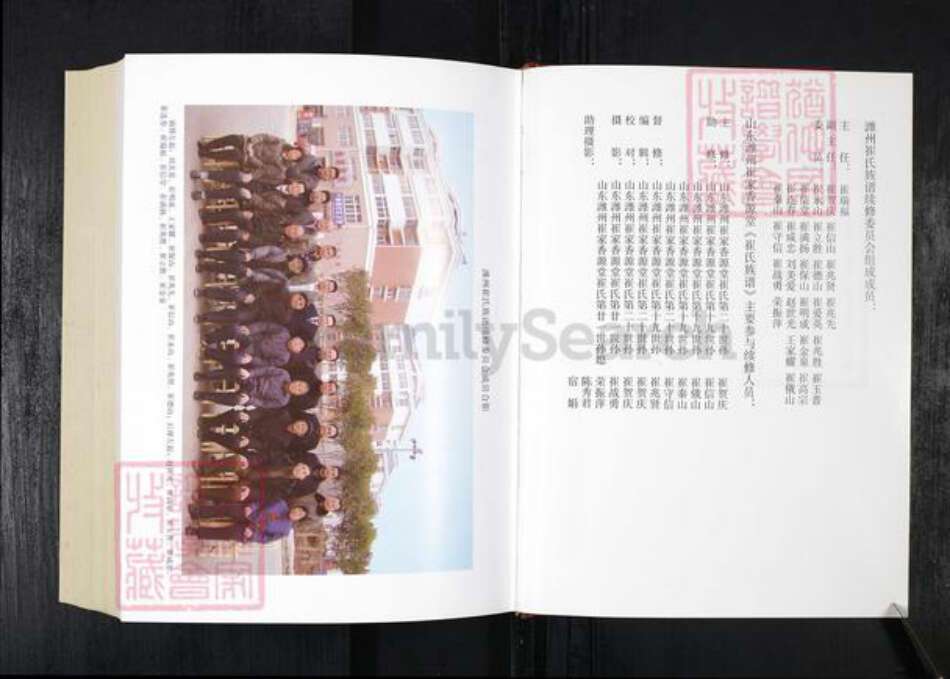 山东省潍坊市崔氏族谱-崔氏族谱.山东潍州崔家香源堂.pdf电子版预览图1