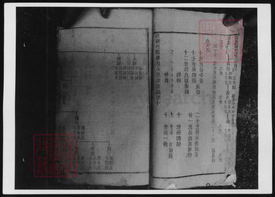 广东省佛山市南海区崔氏族谱-南海沙头崔氏永思堂家谱.pdf电子版预览图5