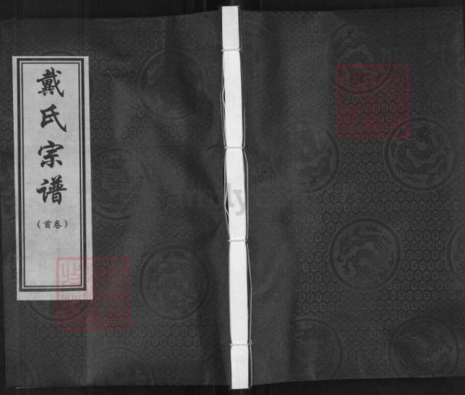 河北省沧州青县新兴镇戴氏族谱-戴氏宗谱.pdf电子版缩略图