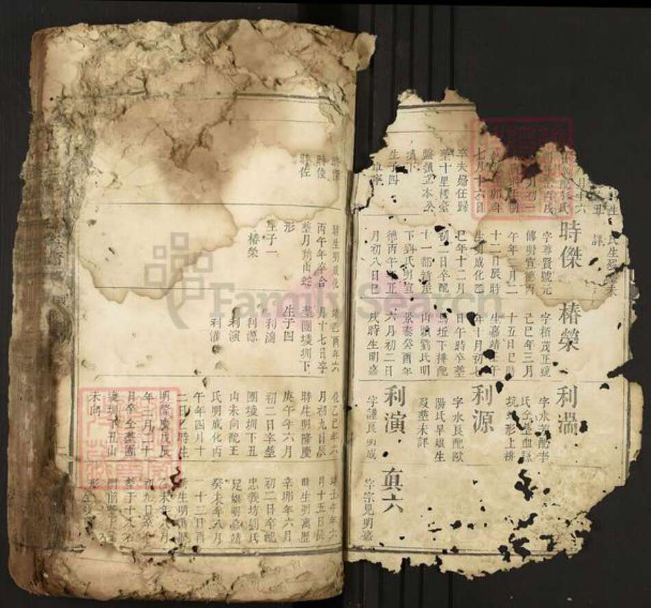 江西省吉安市安福县戴氏中和堂族谱-城南十里楼戴氏族谱.pdf电子版预览图1