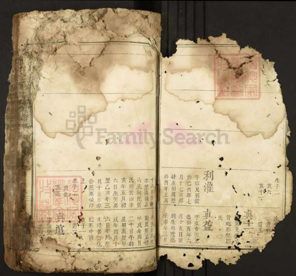 江西省吉安市安福县戴氏中和堂族谱-城南十里楼戴氏族谱.pdf电子版预览图2