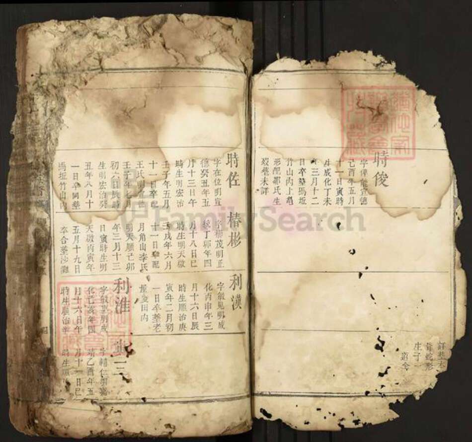 江西省吉安市安福县戴氏中和堂族谱-城南十里楼戴氏族谱.pdf电子版预览图3