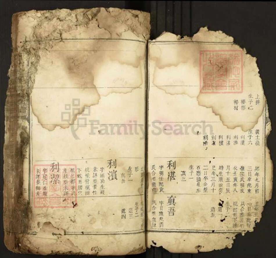 江西省吉安市安福县戴氏中和堂族谱-城南十里楼戴氏族谱.pdf电子版预览图4