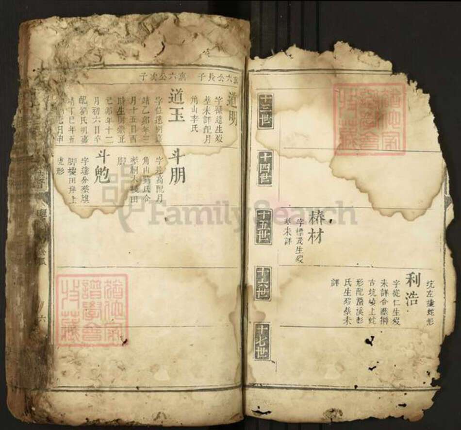 江西省吉安市安福县戴氏中和堂族谱-城南十里楼戴氏族谱.pdf电子版预览图5