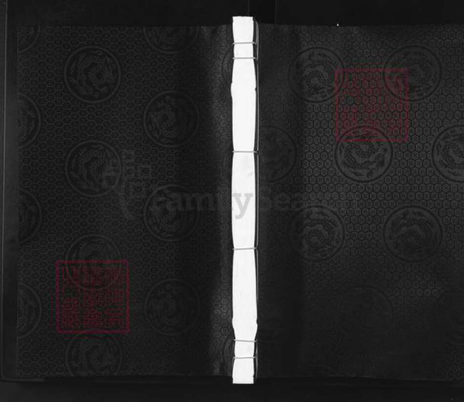 安徽省安庆市潜山市戴氏双柑堂族谱-戴氏宗谱.pdf电子版缩略图