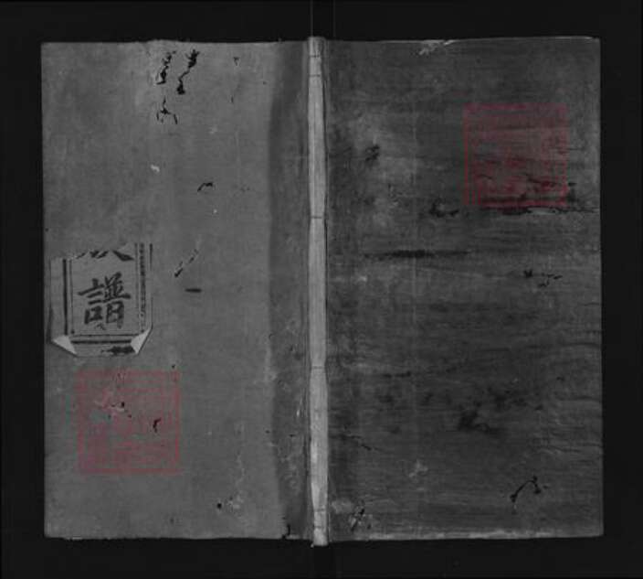 福建省三明市宁化县石壁镇戴氏谯国堂族谱-戴氏族谱.pdf电子版缩略图