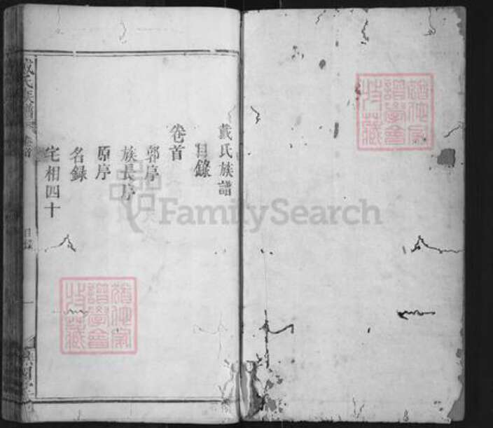 福建省三明市宁化县石壁镇戴氏谯国堂族谱-戴氏族谱.pdf电子版预览图1