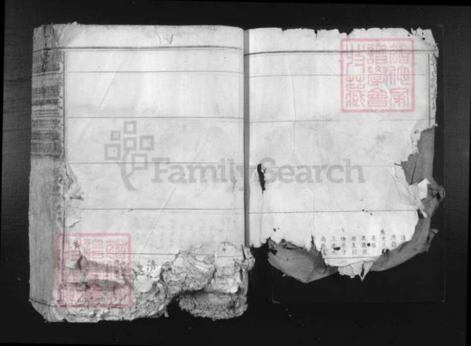 江西省赣州市赣县区戴氏族谱-赣邑长兴爱敬戴氏三修族谱.pdf电子版预览图2