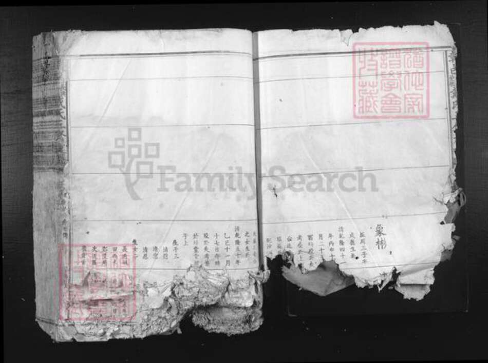 江西省赣州市赣县区戴氏族谱-赣邑长兴爱敬戴氏三修族谱.pdf电子版预览图3