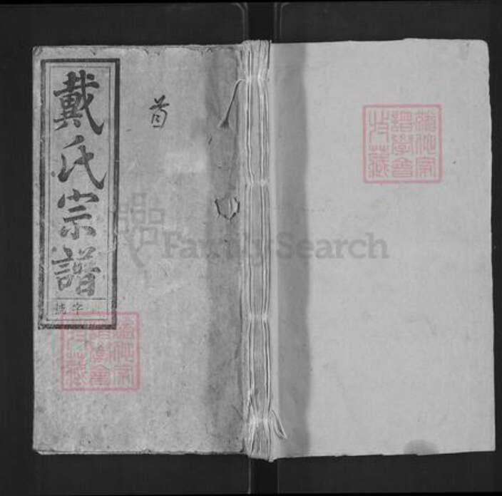 安徽省安庆市潜山市戴氏注礼堂族谱-戴氏宗谱.pdf电子版缩略图