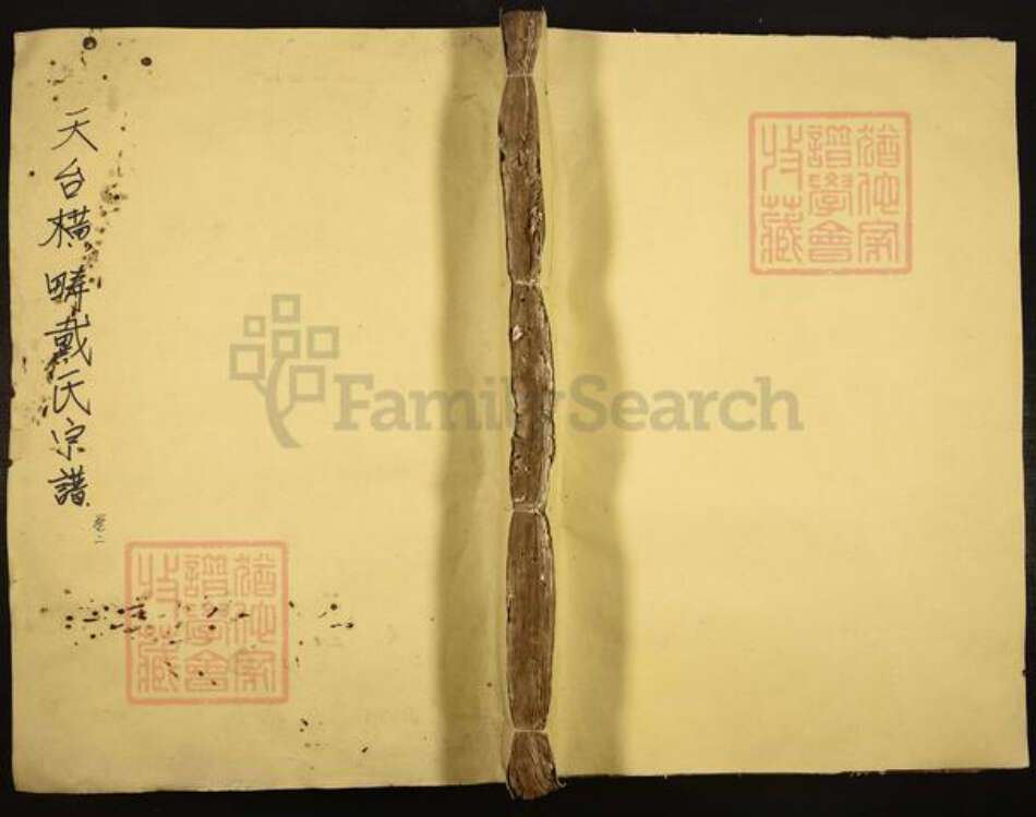 浙江省台州市天台县洪畴镇戴氏族谱-天台横畴戴氏宗谱.pdf电子版缩略图