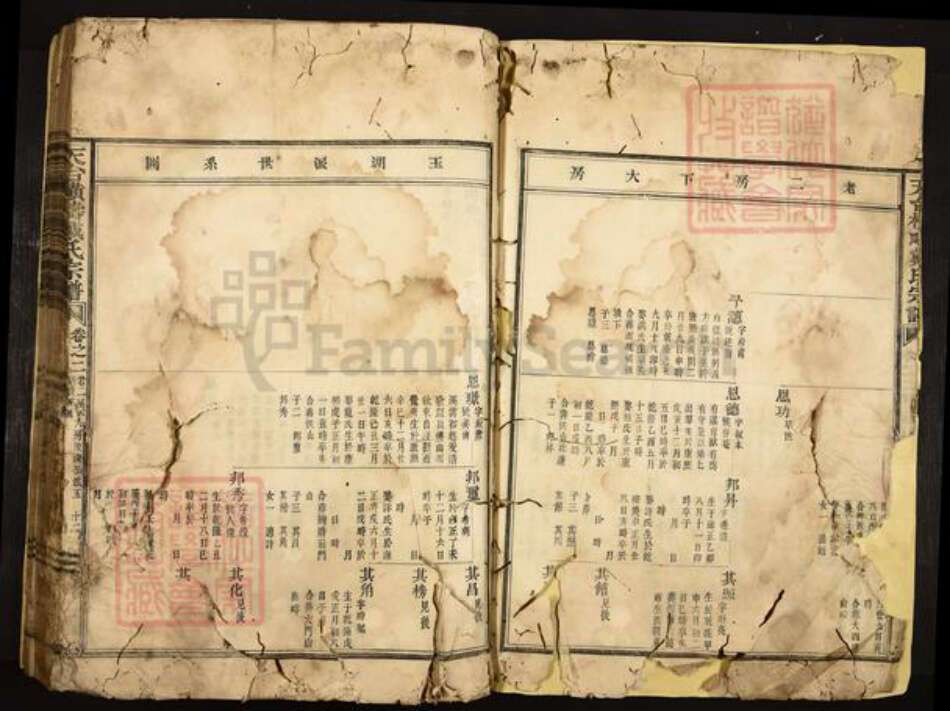 浙江省台州市天台县洪畴镇戴氏族谱-天台横畴戴氏宗谱.pdf电子版预览图5