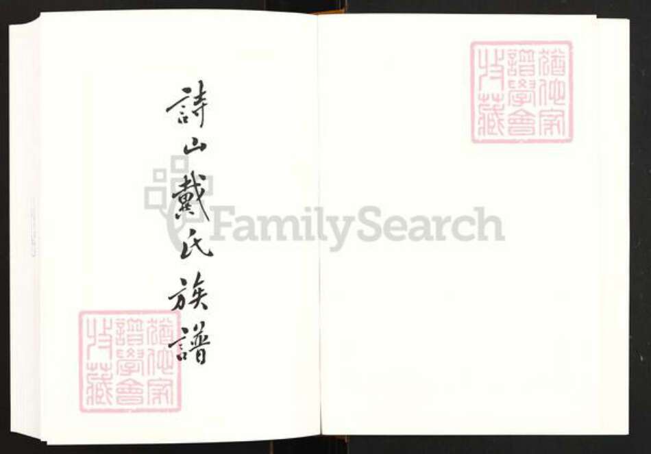 福建省泉州市南安市诗山镇戴氏族谱-诗山戴氏族谱.pdf电子版预览图2