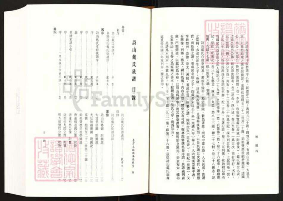 福建省泉州市南安市诗山镇戴氏族谱-诗山戴氏族谱.pdf电子版预览图5