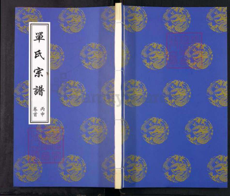 江苏省无锡市宜兴市单氏中和堂族谱-桑园单氏宗谱.pdf电子版缩略图