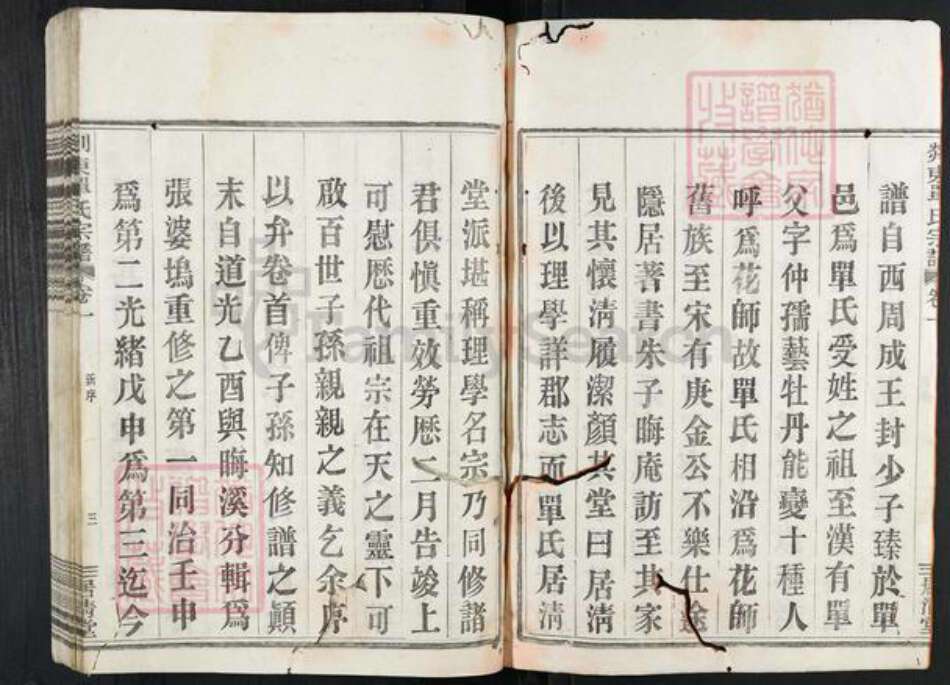 浙江省绍兴新昌县沙溪镇单氏居清堂族谱-剡东单氏宗谱.pdf电子版预览图4