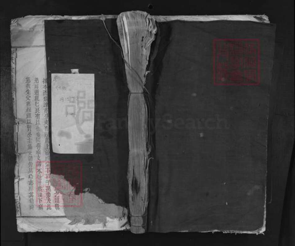 浙江省金华市但氏二留堂族谱-但氏宗谱.pdf电子版