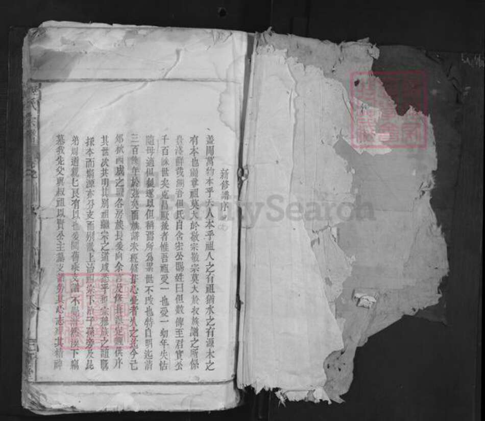 浙江省金华市但氏二留堂族谱-但氏宗谱.pdf电子版预览图1