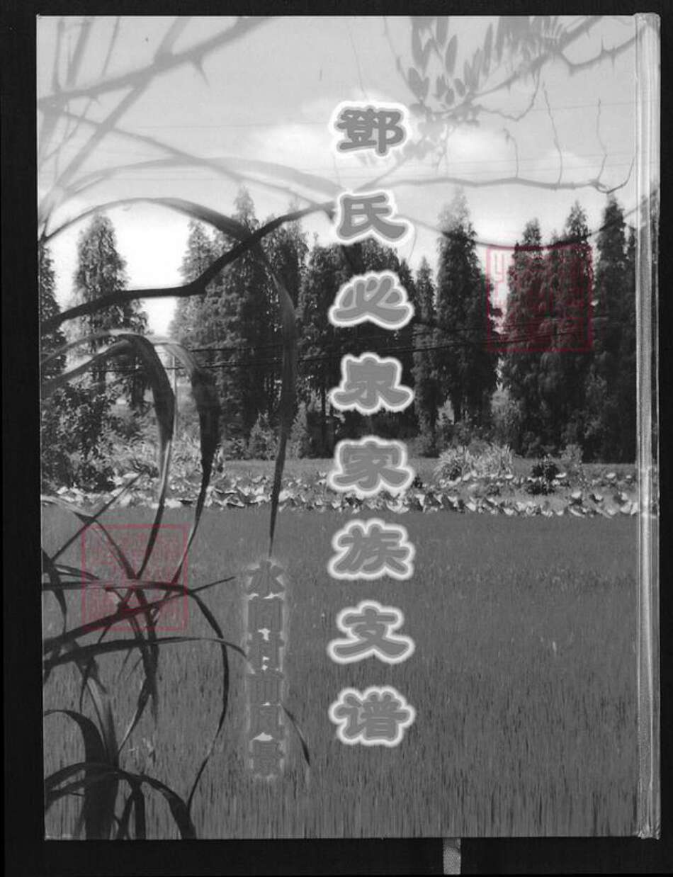 江西省南昌市南昌县泾口乡邓氏南阳堂族谱-邓氏必泉家族支谱.pdf电子版缩略图