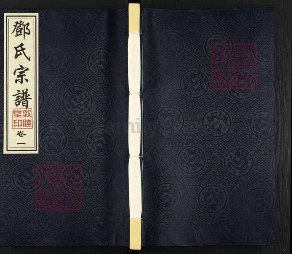 江苏省常州市武进县邓氏敦睦堂族谱-邓氏宗谱.pdf电子版缩略图