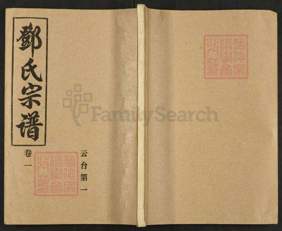 河南省南阳市新野县邓氏族谱-邓氏宗谱.pdf电子版缩略图