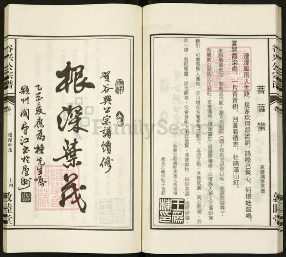 安徽省合肥市邓氏敦睦堂族谱-邓氏宗谱.pdf电子版预览图2