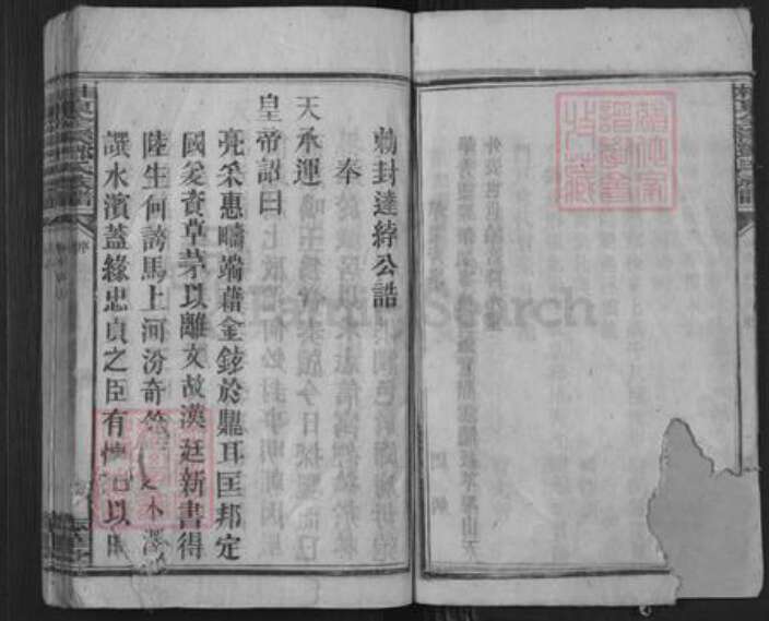 湖南省衡阳市衡阳县金溪镇邓氏志华堂族谱-桂东全溪邓氏族谱.pdf电子版预览图3