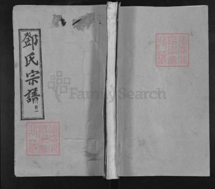 湖北省武汉市新洲区邓氏清源堂族谱-邓氏宗谱.pdf电子版缩略图