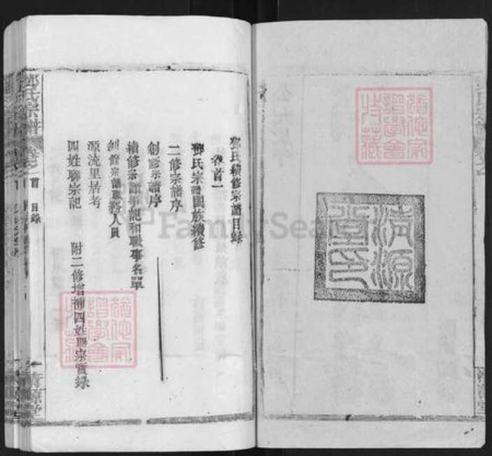 湖北省武汉市新洲区邓氏清源堂族谱-邓氏宗谱.pdf电子版预览图2