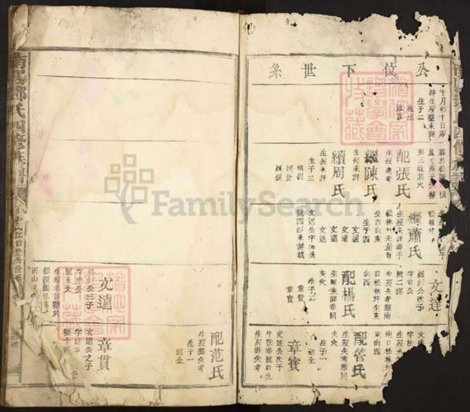 江西省赣州市赣县区邓氏族谱-南阳邓氏四修族谱.pdf电子版预览图2