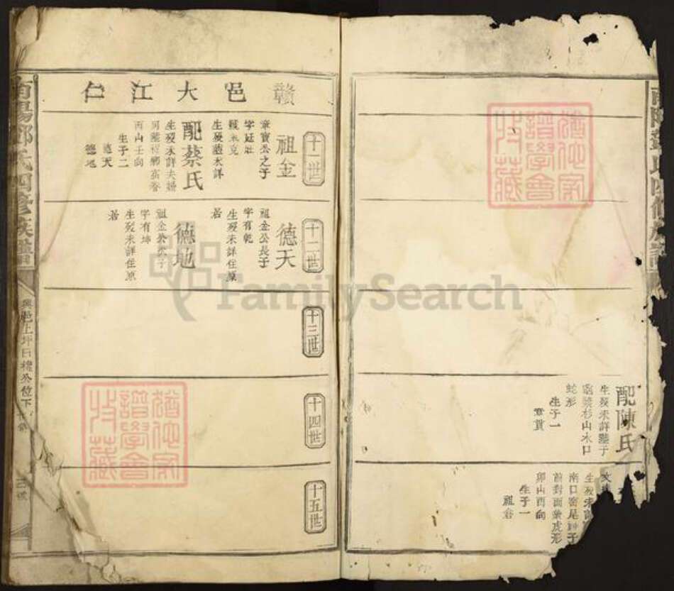 江西省赣州市赣县区邓氏族谱-南阳邓氏四修族谱.pdf电子版预览图3